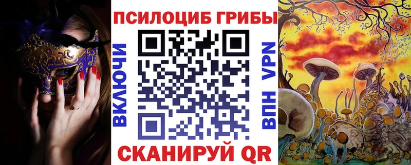 Псилоцибиновые грибы Psilocybine cubensis  Купить  Самара 